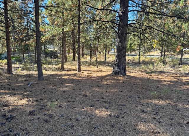 Property at Unit 5-3 Lot 46 Brown Ct, Weed, CA 96094