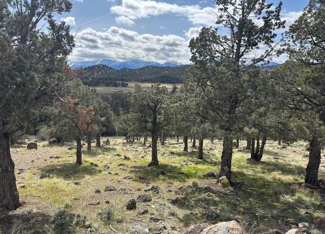 Property at 9-1/102 Wildhorse Rd, Weed, CA 96094