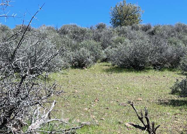 Property at Unit 4 Lot 525 Blue Gill Dr, Hornbrook, CA 96044