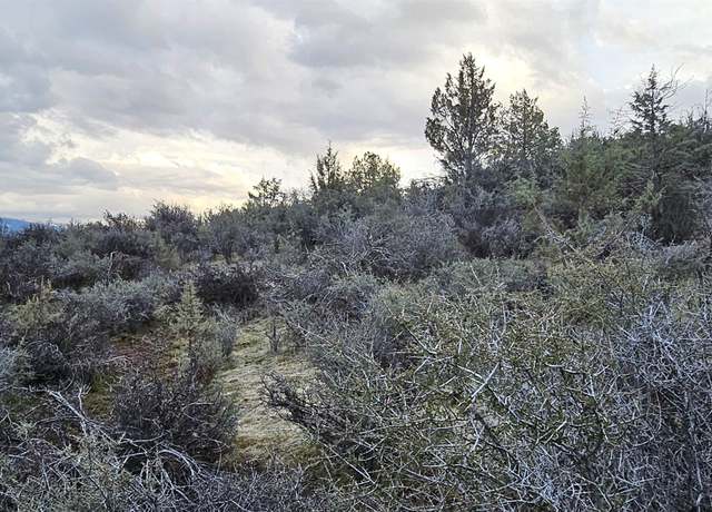 Property at Lots 137 & 138 Tree Ln, Hornbrook, CA 96044