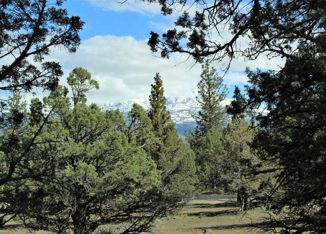 Property at Lot 557 Lookout Ct, Weed, CA 96094