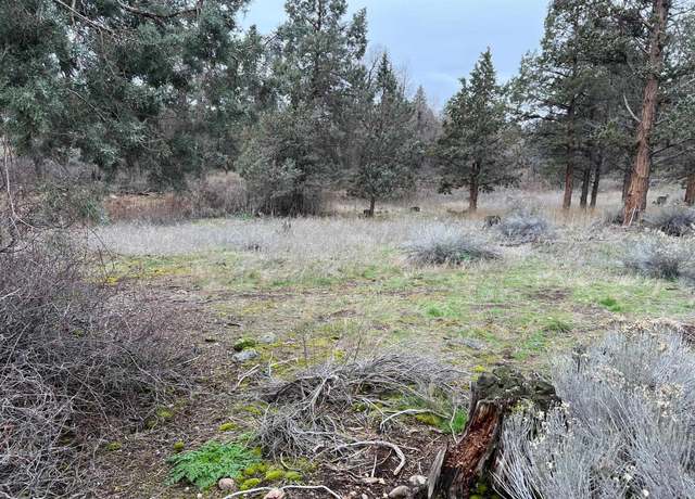 Property at 9-1 Lot 144 Brookside Rd, Weed, CA 96094