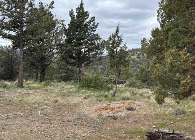 Property at 9-2 Lot 187 Pawnee Rock, Weed, CA 96094
