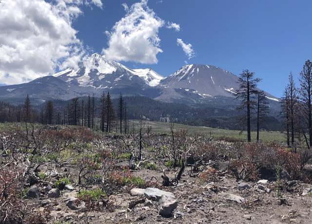 Property at 440 Acres North Slope of Mount Shasta, Weed, CA 96094