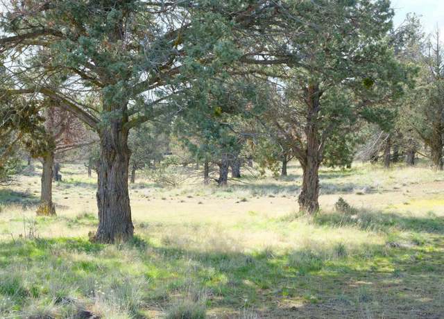 Property at Unit 9-1 Lot 16 Wildhorse, Weed, CA 96094
