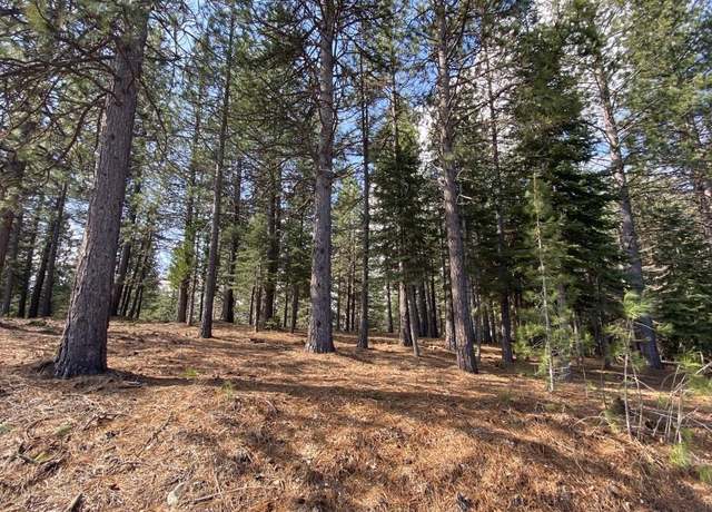Property at Lot 3 Hidden Meadow Dr, Weed, CA 96094
