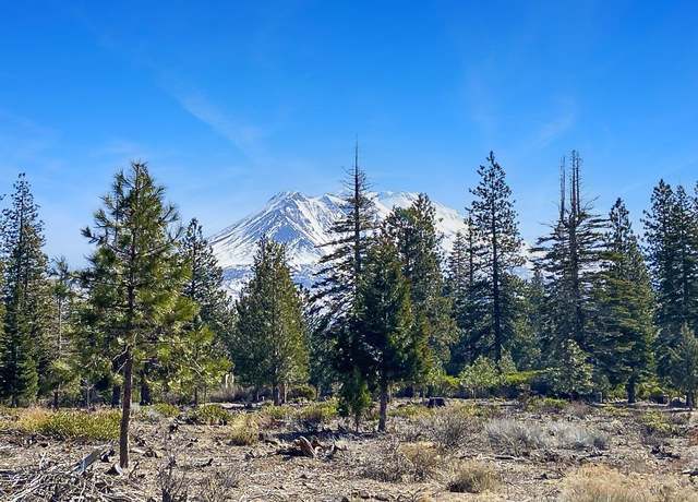 Property at Lot 9 Hidden Meadow Dr, Weed, CA 96094