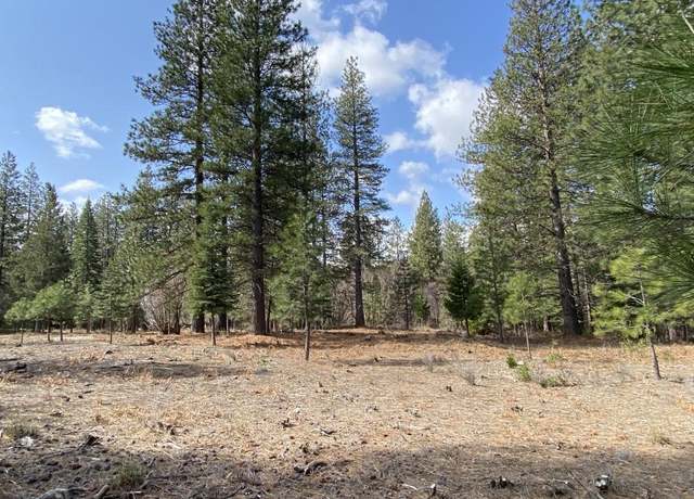 Property at Lot 27 Hidden Meadow Dr, Weed, CA 96094
