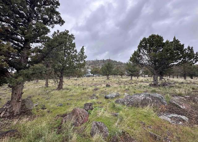 Property at 9-2/102 Shoreline Dr, Weed, CA 96094