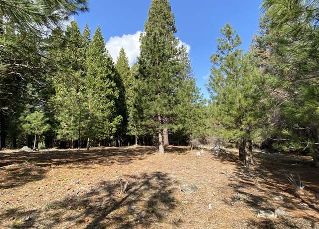 Property at Lot 29 Hidden Meadow Dr, Weed, CA 96094