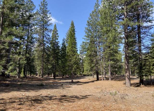 Property at Lot 33 Glenhaven Ct, Weed, CA 96094