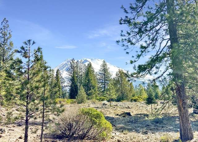 Property at Lot 37 Hidden Meadow Dr, Weed, CA 96094