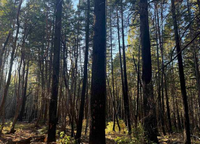 Property at 5 Acres Cade Mountain 19n01 Forest Rd, Happy Camp, CA 96039