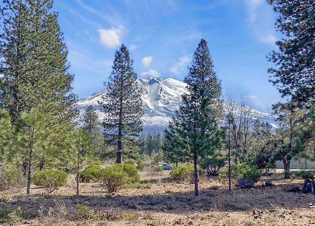 Property at Lot 46 Hidden Meadow Dr, Weed, CA 96094