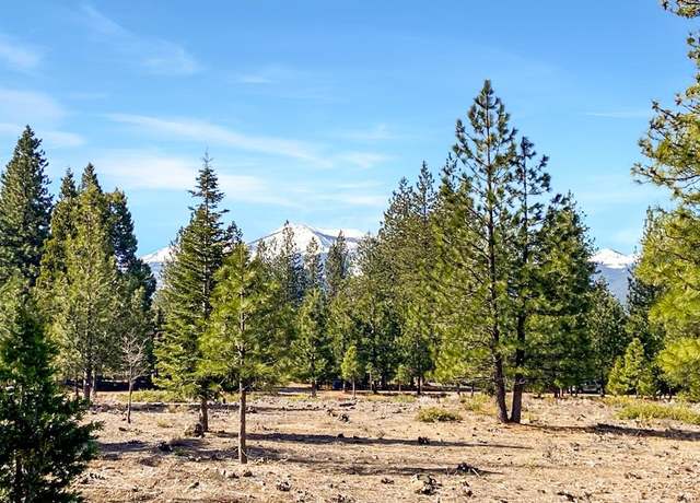 Property at Lot 55 Hidden Meadow Dr, Weed, CA 96094