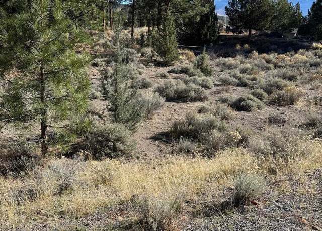 Property at Lot 108 Lake Shore Dr, Weed, CA 96094