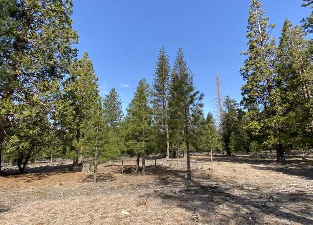 Property at Lot 62 Hidden Meadow Dr, Weed, CA 96094