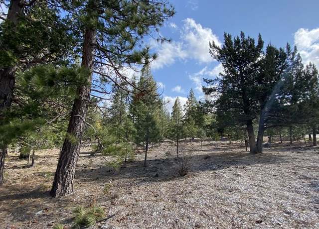Property at Lot 63 Hidden Meadow Dr, Weed, CA 96094