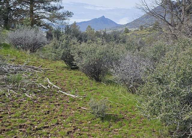 Property at Lark St, Hornbrook, CA 96044