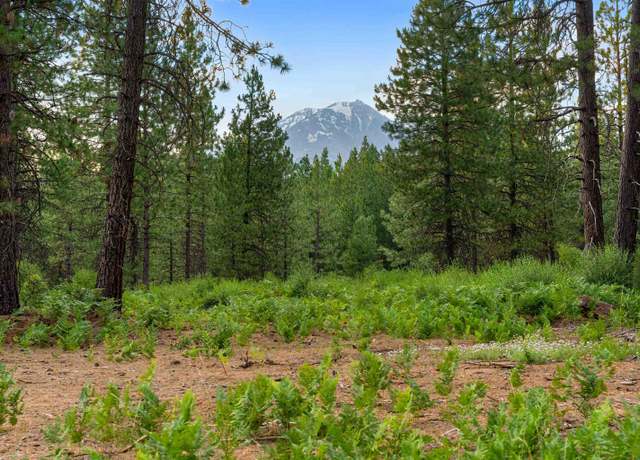 Property at Lot A Timber Country Ranch Rd, Mccloud, CA 96057