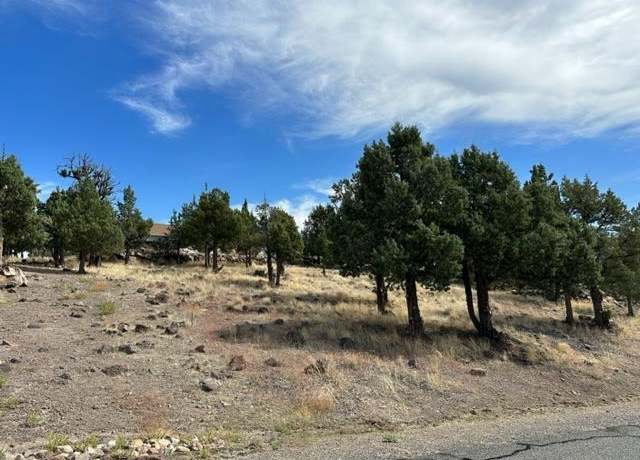 Property at 9-1/90 Wildhorse Rd, Weed, CA 96094