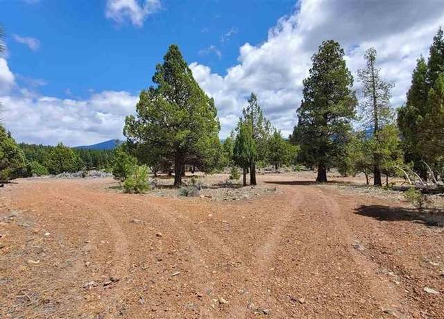 Property at Robison Rd, Macdoel, CA 96058