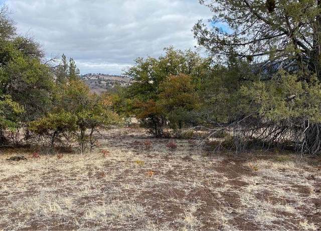 Property at Unit 5 Lot 95 Greenfinch Way, Hornbrook, CA 96044
