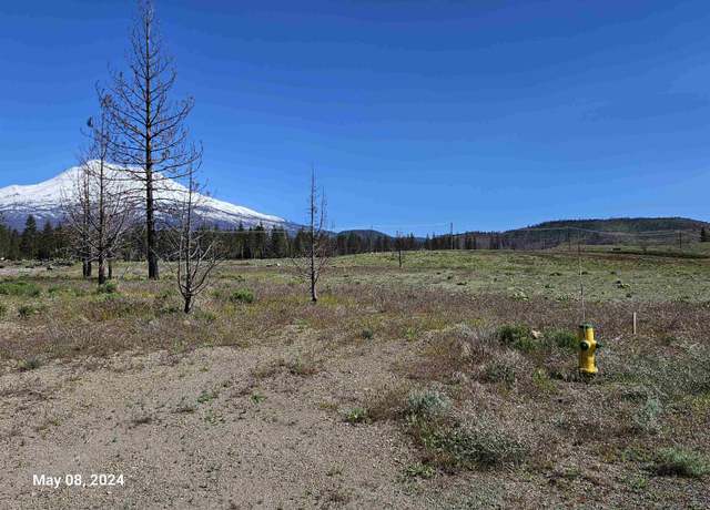 Property at Lot 113 Buffalo, Weed, CA 96094
