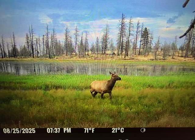 Property at 40 Acres Mud Lk, Macdoel, CA 96058