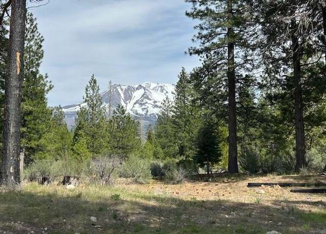 Property at 2324 Black Butte Dr, Weed, CA 96094