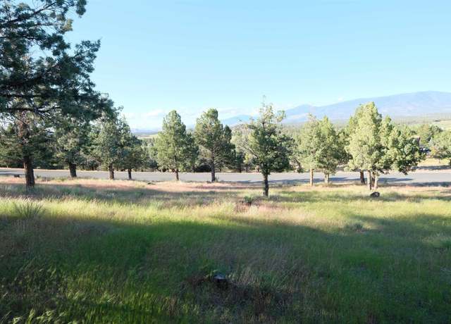 Property at Unit 9-1 Lot 53 Palomino Rd, Weed, CA 96094