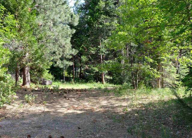 Property at 057-512-260 Mccloud Ave Parcel, Mt Shasta, CA 96067