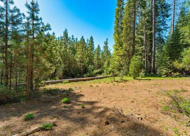 Property at 2900 Squaw Valley Rd, Mccloud, CA 96067