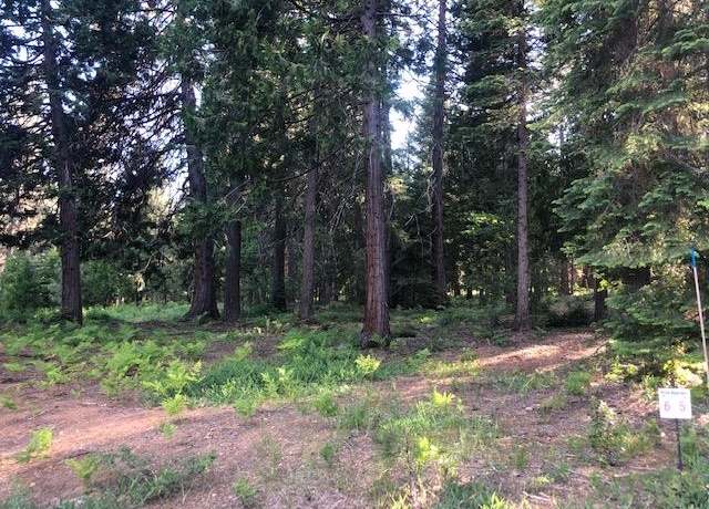 Property at 6 Old Mill Dr, Mccloud, CA 96057