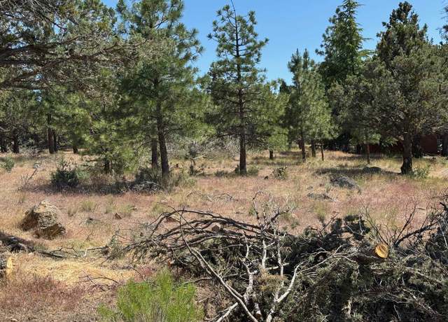 Property at Unit 1 Lot 91 Harborview Dr, Weed, CA 96094