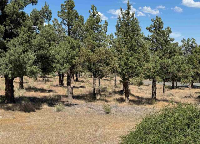 Property at 9-1 Lot 114 Wildhorse Pl, Weed, CA 96094