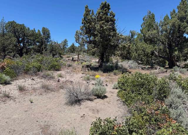 Property at Blk 44 Lot 11 Debbie Dr, Montague, CA 96064