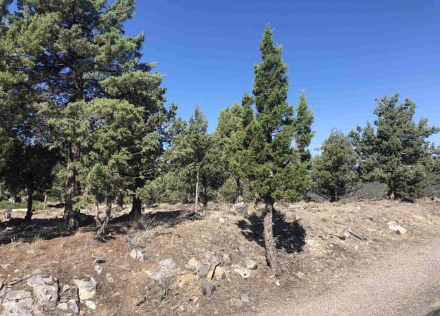 Property at 9-2/63 Stonecrest Dr, Weed, CA 96094