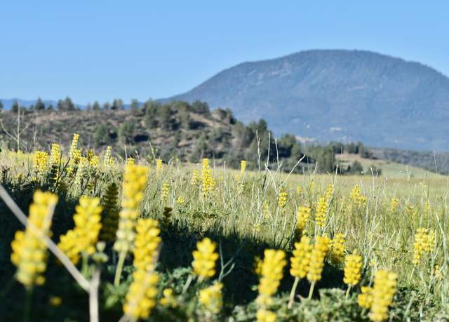Property at Lot 98 Mescal Dr, Hornbrook, CA 96044