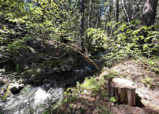 Property at 3206 Dale Creek Rd, Weed, CA 96094