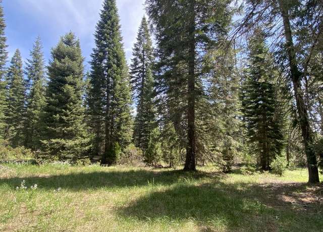 Property at 4-E-2 Echo Way, Mccloud, CA 96057