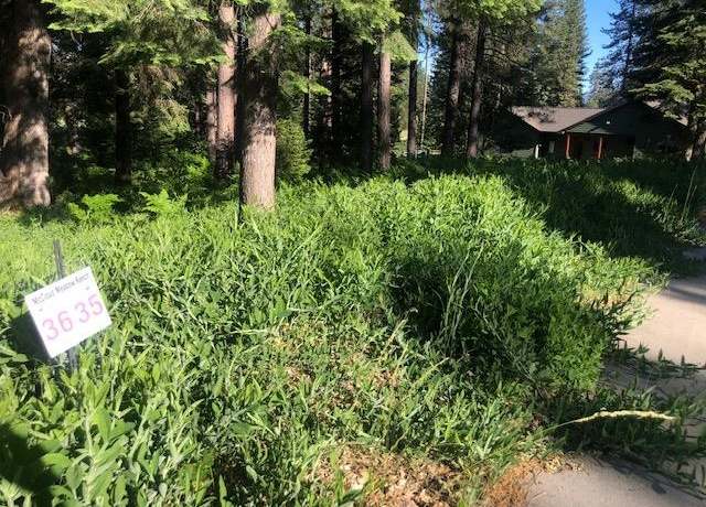 Property at 35 Mill House Way, Mccloud, CA 96057