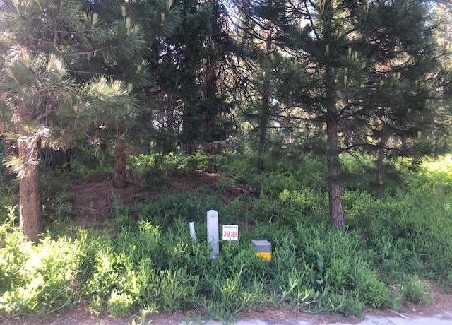 Property at 38 Panther Meadow Dr, Mccloud, CA 96057
