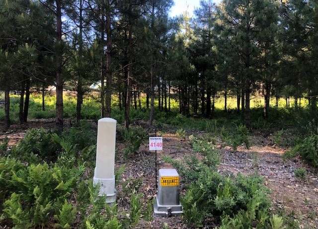 Property at 41 Panther Meadow Dr, Mccloud, CA 96057