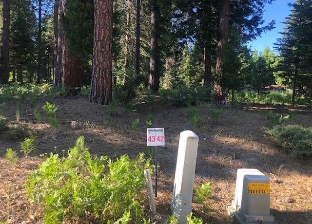 Property at 42 Panther Meadow Dr, Mccloud, CA 96057
