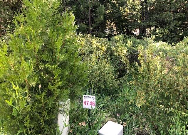 Property at 47 Panther Meadow Dr, Mccloud, CA 96067