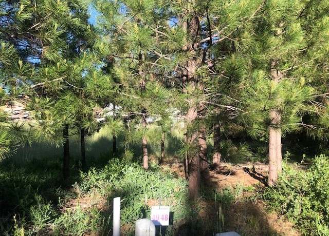 Property at 49 Old Mill Dr, Mccloud, CA 96057
