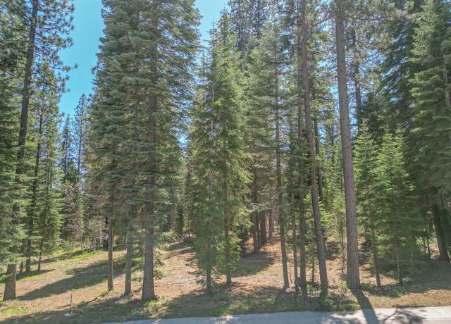 Property at 50 Old Mill Dr, Mccloud, CA 96067