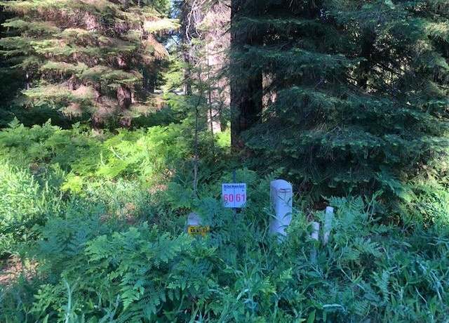 Property at 60 Old Mill Dr, Mccloud, CA 96057
