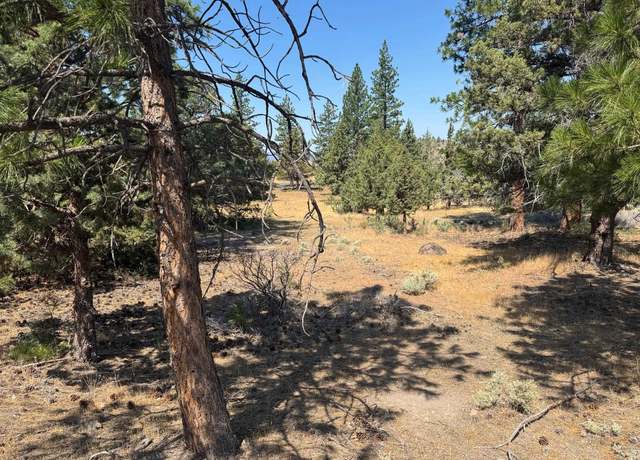 Property at Unit 5-4 Lot 20 Lake Shore Dr, Weed, CA 96094